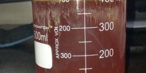 Karanj Oil ( Pongamia Oil)