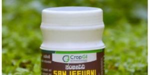 Sanjeevani Probiotic Supplement