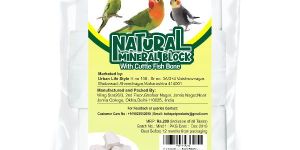 Boltz Cuttlefish Bone Mineral Block