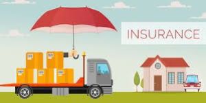 Domestic Relocation Service
