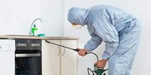 Pest Management Services