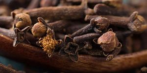 Dry Cloves