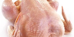 Frozen Chicken