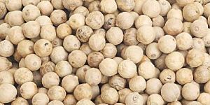 White Pepper