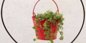 Decorative Table Planter