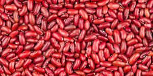 Organic Red Kidney Beans