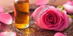Rose Oil