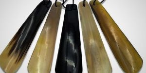 Shoe Horn