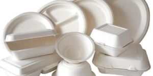 Bagasse Disposable Products.