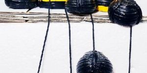 Indoor Gardening Eco Friendly Gifts