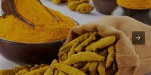 Dried Turmeric Finger