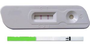 Rapid Diagnostic Pregnancy Kits