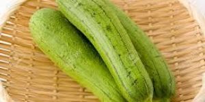 Sponge Gourd