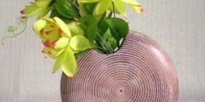 Wooden Vases