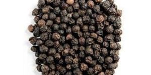 Black Pepper Seeds