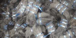 Black Dyed Coir Bristle Fiber