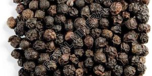 Black Pepper Seeds