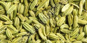 Fennel Seeds