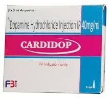 Dopamine Hydrochloride Injection