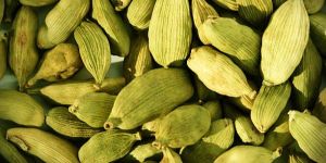 Green Cardamom
