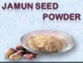 Jamun Seed Powder