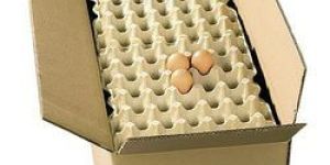 Egg Carton Box