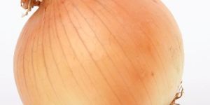 Yellow Onion