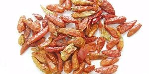 Dried Kanthari Chilli