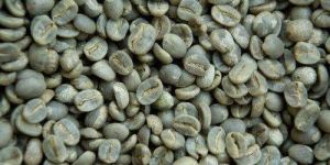 Natural Coffee Beans