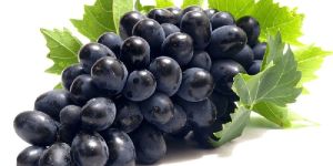 Black Sharad Grapes