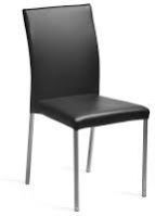 Plastic Dining Chair