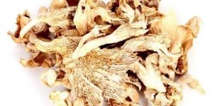 Dried Oyster Mushroom
