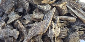 Agarwood Chip