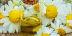 Chamomile Extract