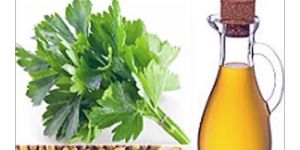 Coriander Oils