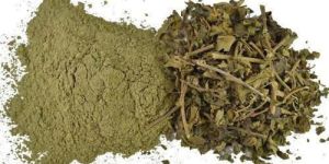 Gurmar Extract