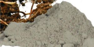 Nagarmotha Dry Etract