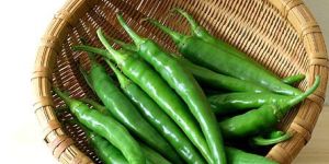 Fresh Green Chilli
