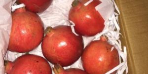 Fresh Pomegranate