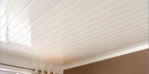PVC False Ceiling Services