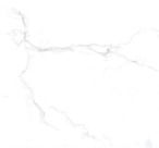 Statuario Marble Tiles