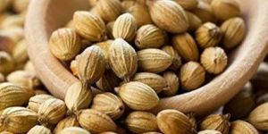 Coriander Seeds