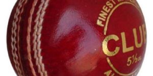 Cricket Ball