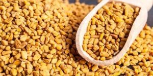 Fenugreek Seeds