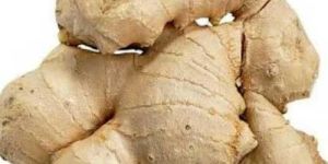 Fresh Organic Ginger