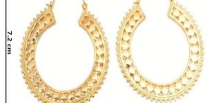 Hp250 Brass Hoop Earrings