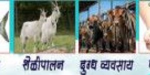 Livestock Farming Services