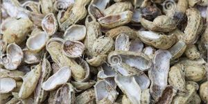 Groundnut Shell