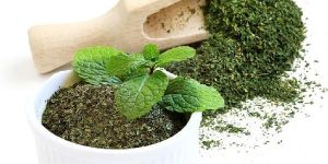 Dehydrated Mint Leaves