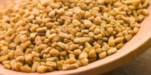 Fenugreek Seeds